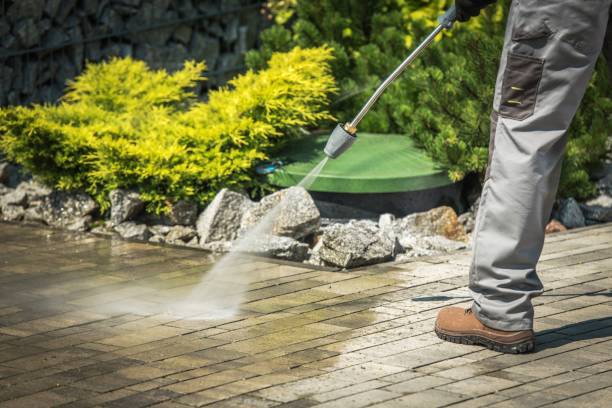 Best Pre-Holiday Cleaning  in Lockport, IL